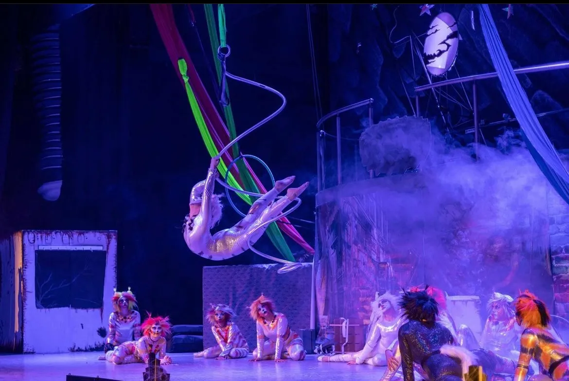 Presentación de danza aérea en Dans Sätt