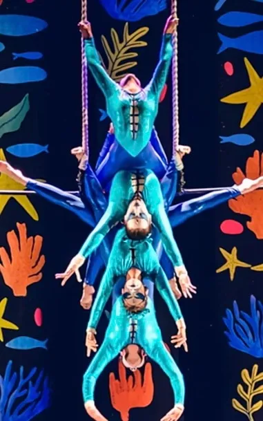 Clase de trapecio en Dans Sätt